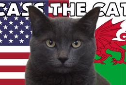 Mèo tiên tri dự đoán Mỹ vs Xứ Wales, 2h ngày 22/11