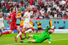 Nhận định Tunisia vs Australia: Hạ gục “Chuột túi” 