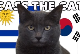 Mèo tiên tri dự đoán kết quả bóng đá Uruguay vs Hàn Quốc