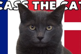 Mèo tiên tri dự đoán Pháp vs Đan Mạch, 23h ngày 26/11