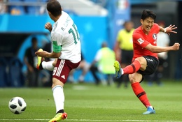 Mèo tiên tri dự đoán kết quả bóng đá Hàn Quốc vs Ghana