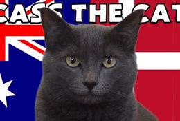 Mèo tiên tri dự đoán kết quả bóng đá Úc vs Đan Mạch