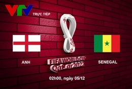 Link xem trực tiếp Anh vs Senegal 2h hôm nay, vòng 1/8 World Cup 2022