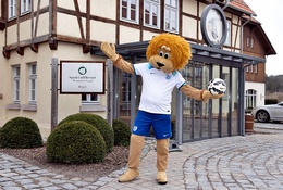 ĐT Anh chi 27 tỷ đồng đặt khách sạn 5 sao tới hết chung kết Euro 2024