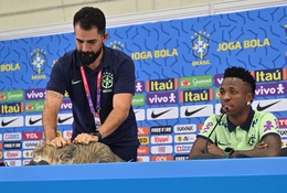 “Lời nguyền của con mèo”: Giả thuyết được nhắc lại sau khi Brazil bị Na Uy loại khỏi World Cup