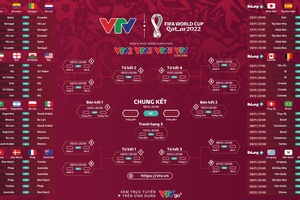 Lịch phát sóng trực tiếp World Cup 2022 trên VTV