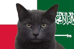 Mèo tiên tri dự đoán Ba Lan vs Saudi Arabia