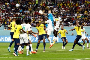 Bảng A World Cup 2022: Senegal cùng Hà Lan giành quyền vào vòng 1/8