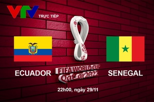 Link xem trực tiếp Ecuador vs Senegal 22h00 hôm nay, bảng A World Cup 2022