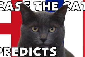 Mèo tiên tri dự đoán kết quả bóng đá Anh vs Pháp