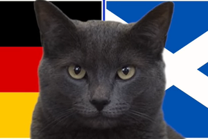 Mèo tiên tri dự đoán Đức vs Scotland, 2h ngày 15/6, Euro 2024