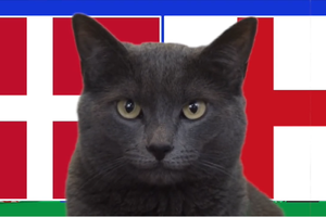 Mèo tiên tri dự đoán Đan Mạch vs Anh, 23h ngày 20/6, Euro 2024
