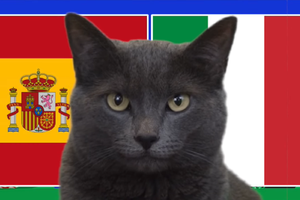 Mèo tiên tri dự đoán Tây Ban Nha vs Italia, 2h ngày 21/6, Euro 2024