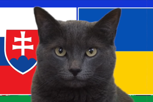Mèo tiên tri dự đoán Slovakia vs Ukraine, 20h ngày 21/6, Euro 2024