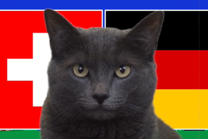 Mèo tiên tri dự đoán Thụy Sĩ vs Đức, 2h ngày 24/6, Euro 2024