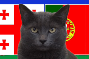 Mèo tiên tri dự đoán Georgia vs Bồ Đào Nha, 2h ngày 27/6, Euro 2024