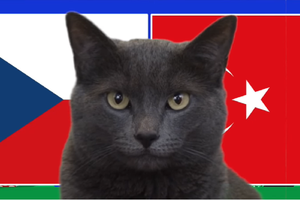Mèo tiên tri dự đoán Séc vs Thổ Nhĩ Kỳ, 2h ngày 27/6, Euro 2024