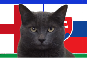 Mèo tiên tri dự đoán Anh vs Slovakia, 23h ngày 30/6, Euro 2024