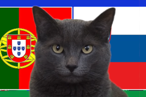 Mèo tiên tri dự đoán Bồ Đào Nha vs Slovenia, 2h ngày 2/7, Euro 2024