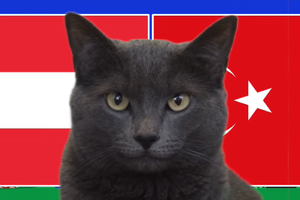Mèo tiên tri dự đoán Áo vs Thổ Nhĩ Kỳ, 2h ngày 3/7, Euro 2024