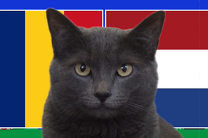 Mèo tiên tri dự đoán Romania vs Hà Lan, 23h ngày 2/7, Euro 2024