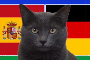 Mèo tiên tri dự đoán Tây Ban Nha vs Đức, 23h ngày 5/7, Euro 2024