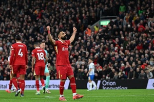 Tỷ lệ bóng đá trận Liverpool vs Leverkusen, 3h00 ngày 6/11, Cúp C1 châu Âu