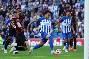 Tỷ lệ bóng đá trận Brighton vs Bournemouth, 2h30 ngày 26/2, Ngoại hạng Anh