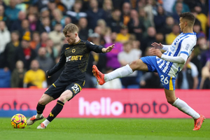 Nhận định bóng đá Wolves vs Brighton: Trở lại mạch thăng hoa