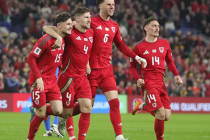 Nhận định bóng đá Bỉ vs Wales: Quỷ đỏ xuống sức
