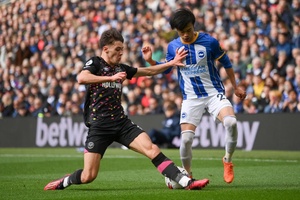 Tỷ lệ kèo trận Brighton vs Brentford, 22h00 ngày 22/11, Ngoại hạng Anh