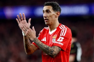 Nhận định, soi kèo Benfica vs Estoril: Giữ vững mạch bất bại sân nhà