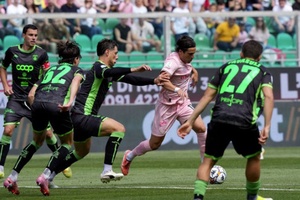 Nhận định, soi kèo Palermo vs Catanzaro: Mệnh lệnh tấn công