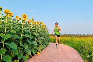 Cách đăng ký giải chạy Ecopark Marathon 2020