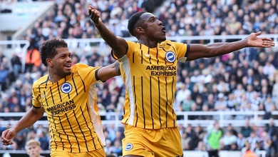 Dự đoán Brighton vs Wolves, 21h00 ngày 26/10, Ngoại hạng Anh 2024/25