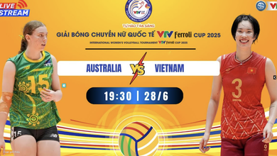 Link trực tiếp giải bóng chuyền VTV Cup hôm nay 28/6