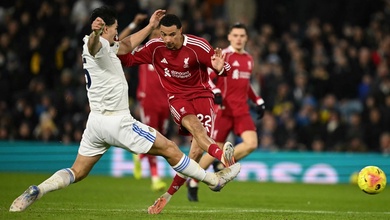 Dự đoán Liverpool vs Brighton, 22h00 ngày 13/12, Ngoại hạng Anh 2025/26