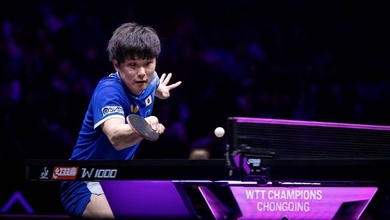 Harimoto hạ Lin Yun-Ju, sao trẻ Wen Ruibo thách thức “số 1 bóng bàn Nhật Bản” tại bán kết WTT Chongqing