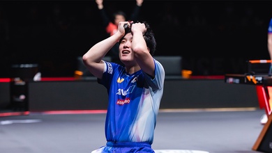 Tomokazu Harimoto - “Kẻ ở giữa hai làn ranh” của bóng bàn hiện đại