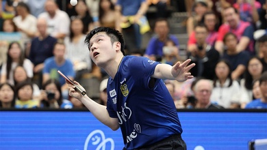 Một mùa, một di sản: Fan Zhendong tái định nghĩa bóng bàn châu Âu