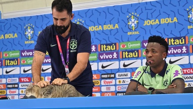 “Lời nguyền của con mèo”: giả thuyết được nhắc lại sau khi Brazil bị Na Uy loại khỏi World Cup