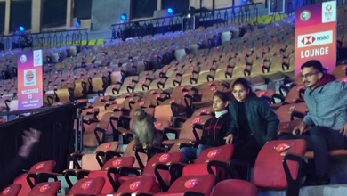 Sau những lời phàn nàn về phân chim, khỉ được phát hiện tại giải cầu lông India Open