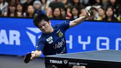 Fan Zhendong gặp khó giữa giải bóng bàn Siêu hạng Trung Quốc và Bundesliga 2026