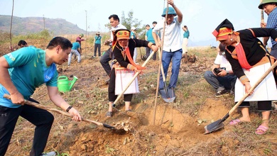 BIDV Runners đồng hành trồng 2500 cây xanh tại Lai Châu dịp Tiền Phong Marathon 2023