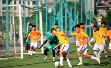 Bảng xếp hạng U19 Đông Nam Á 2022: Việt Nam đứng thứ mấy?