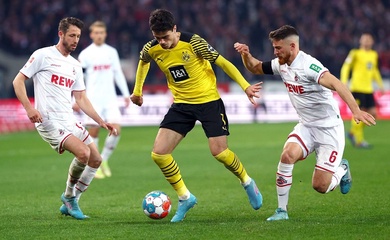 Nhận định Dortmund vs Koln: Gục ngã tại Signal Iduna Park