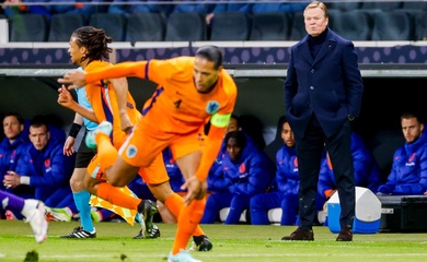 Đội hình chính thức tuyển Hà Lan 2024: Danh sách, số áo cầu thủ dự Euro 2024