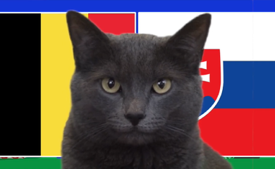 Mèo tiên tri dự đoán Bỉ vs Slovakia, 23h ngày 17/6, Euro 2024