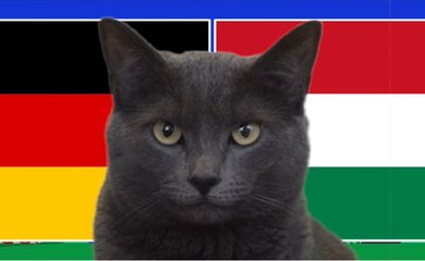 Mèo tiên tri dự đoán Đức vs Hungary, 23h ngày 19/6, Euro 2024