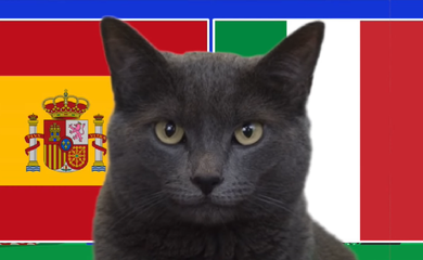 Mèo tiên tri dự đoán Tây Ban Nha vs Italia, 2h ngày 21/6, Euro 2024